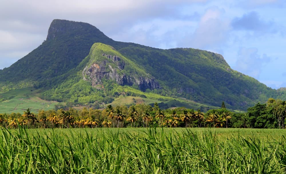 Lion Mountain